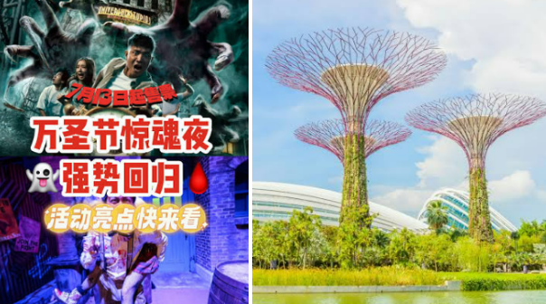 2026新加坡大型活动省钱攻略！万圣节惊魂夜/滨海湾花展门票信用卡折扣汇总