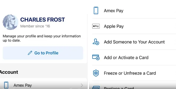 Amex App 界面和操作